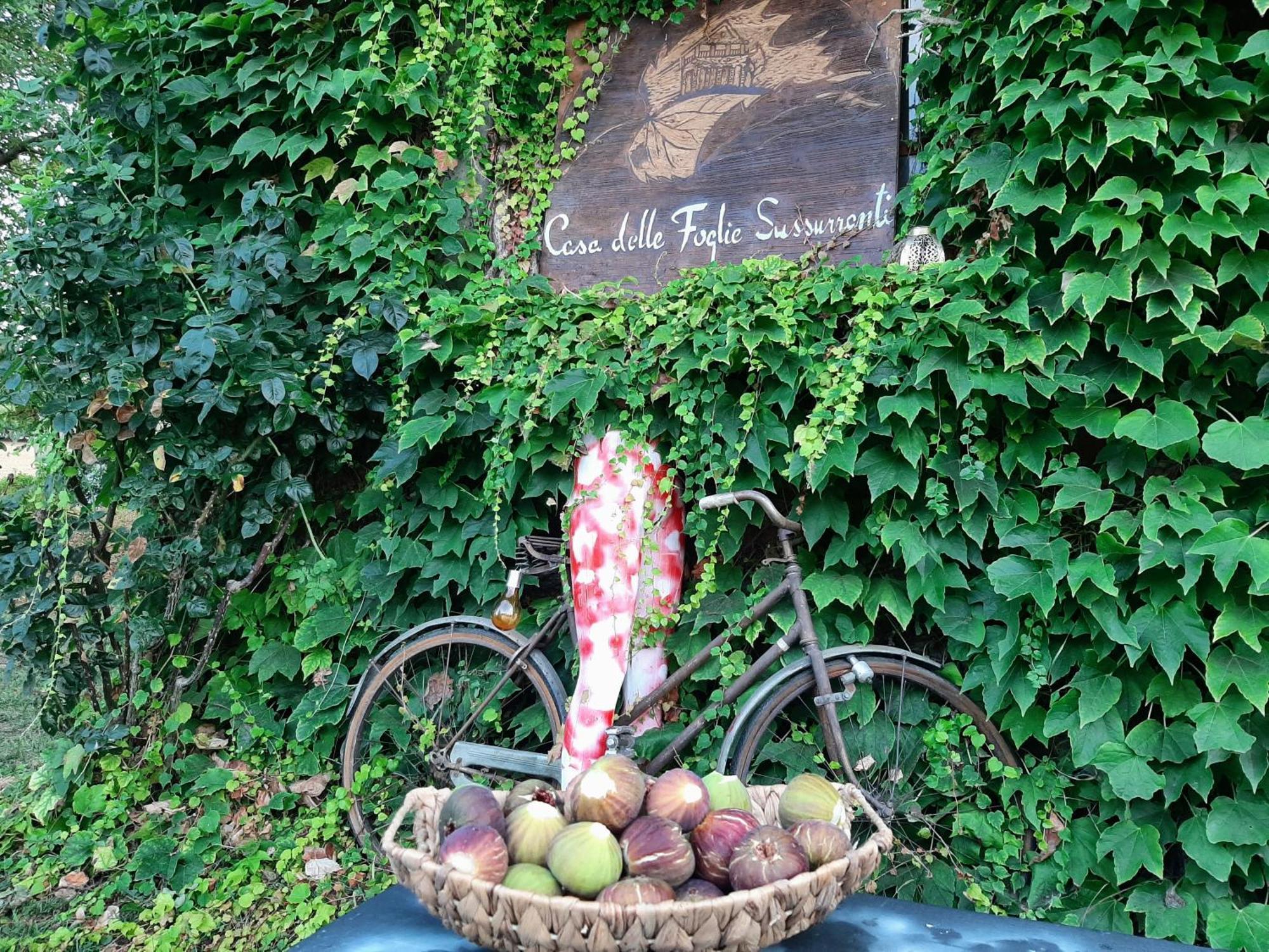 Casa Delle Foglie Sussurranti Villa Asti Eksteriør bilde